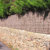 Brezo natural para vallas y ocultaciones jardin Girona Brezo natural para vallas y ocultaciones jardin Girona